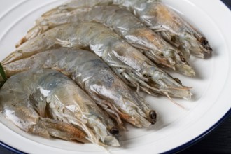 Fresh raw white-footed shrimp, tiger prawns vannamei, on a white plate