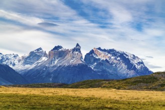 View of the beautiful mountain and large pasture at Torres del Paine National Park in Chile