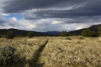 Lonely path through dry grass invites you to hike