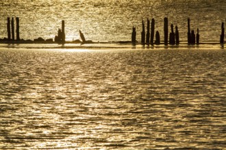 Pictures of the island of Rügen Holidays in Germany