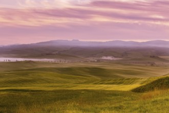 Morning fog view on farmland at Valley d Orcia in Tuscany, Italy. Filtered shot