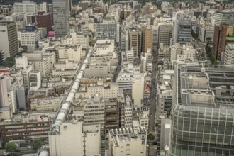 Sendai skyline (from AER Lookout). Shooting Location: Sendai, Miyagi Prefecture