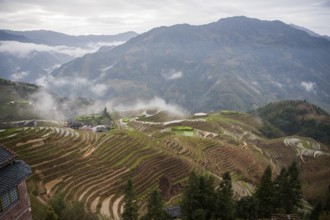 Long shen rice terrace, guangxi, china