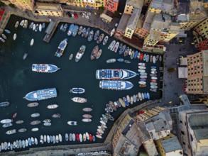 Tourist boat mooring in the harbor of Camogli