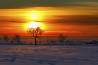 Sunrise in winter landscape with trees and wind turbines in silhouette