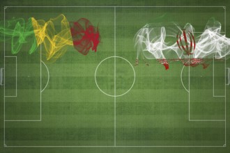 Mali vs Iran Soccer Match, national colors, national flags, soccer field, football game,