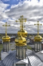 Golden domes of the Holy Trinity Cathedral in the background of the city, blue sky and white clouds