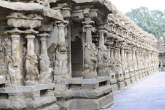Vishnu Varadaraja Temple, Kanchipuram, Tamil Nadu, row of ornately carved stone pillars in an