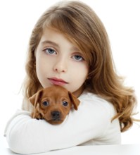 Brunette kid girl with puppy dog mascot mini pinscher on white background