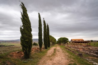Canaveruelas, Spain, February 29, 2020: Ercavica Roman City archaeological site. Ercavica was an