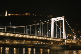 Elizabeth bridge in Budapest close up at night.