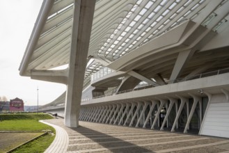 Liège, Liège-Guillemins railway station, design 2009 Santiago Calatrava, concrete pillars and