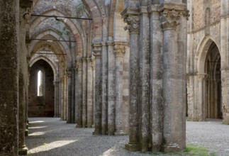 San Galgano, Cistercian monastery ruins, view from the northern aisle to the east