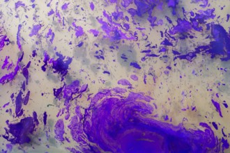 Abstract marbling art patterns in paint as background