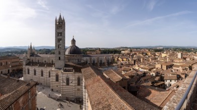 The Siena cathedral and its cupola, seen from the Facciatone panoramic viewpoint, Italy, Europe