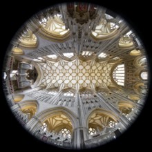 Fisheye 360, interior view, ceiling, Wells Cathedral, Wells, England, Great Britain