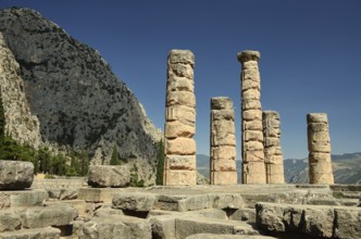 Oracle of Delphi