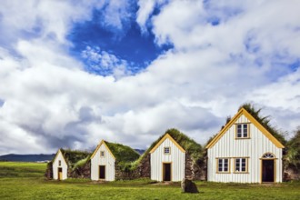 The village of old houses covered with turf and grass. Ethnographic Museum-estate Glaumbaer,