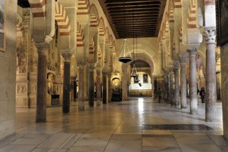 Interior, Forest of columns, Mezquita, former mosque, today cathedral, Cordoba, Hall-like interior
