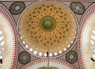 Dome of the Suleymaniye Mosque, Istanbul, Turkey Istanbul, Turkey, Asia