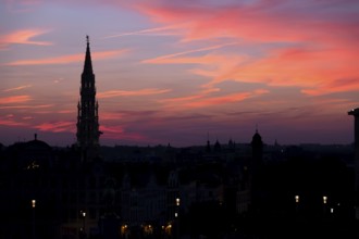 Cathedral and statue of king Albert I at sunset, Brussel, Belgium, Europe