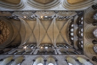 Salisbury, Cathedral, vault in the north transept