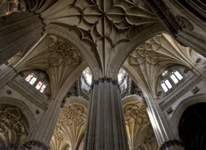 Oblique view into the vaults below the dome, St., Sankt, Saint