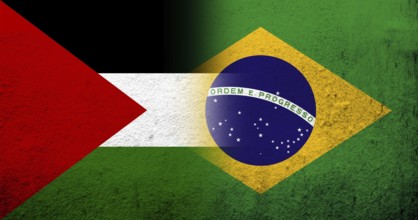 Flag of Palestine and National flag of Brazil. Grunge background