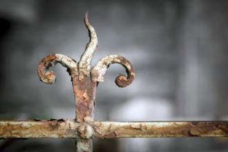 Close up fence which has become rusted through years of neglect. Art and concepts