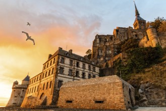 Seagulls flying over dramatic sunset in Mont Saint-Michel