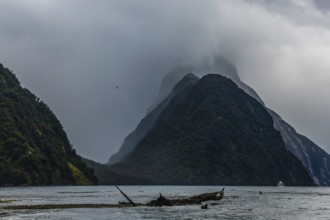 The most picturesque country on earth is New Zealand. South Island of New Zealand. Fjord Milford