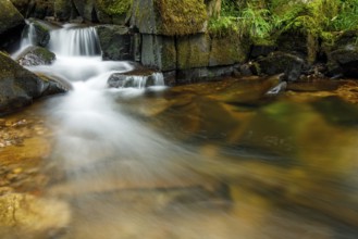 Cascade