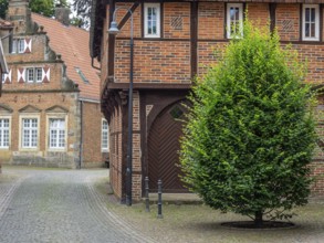 Green tree between historic half-timbered and brick buildings on a cobbled street, Legden,