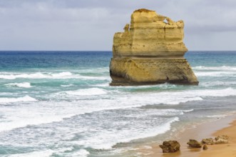 An enourmous offshore limestone stack at the Gibson Steps beach along the Great Ocean Road near the