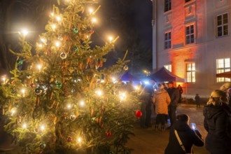 Christmas market at Lauterbach Castle Lauterbach, Saxony, Germany, Europe