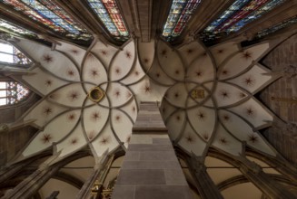 Strasbourg Cathedral, Cathédrale Notre-Dame de Strasbourg, ribbed vault of St Catherine's Chapel
