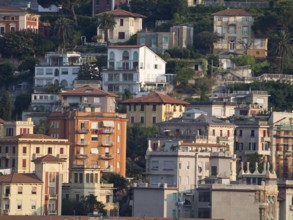 Town view with abundant vegetation and differently coloured buildings on a hill, la seyne,