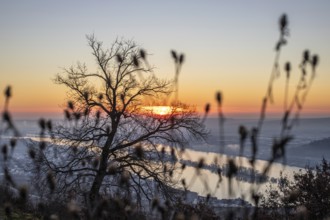 Beautiful park at sunrise on a winter morning. Beautiful view of the Rhine valley at sunrise.