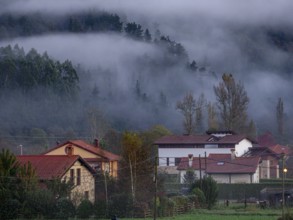 Morning fog, Ucieda, Saja-Besaya natural park, Cantabria, Spain, Europe