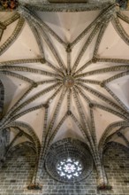 Beautiful vaulted ceiling of the Gothic Cathedral of Valencia (Catedral de València) in the Plaza