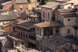 Old residential houses in the city center of Siena, Italy, seen from the Facciatone panoramic