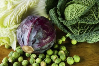 Still life with assortment cabbages on wooden table