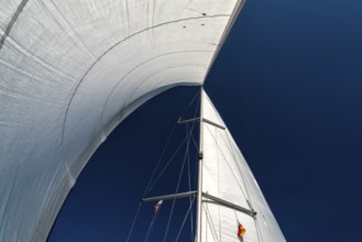 Sail of a sailing yacht in the wind while sailing on the sea