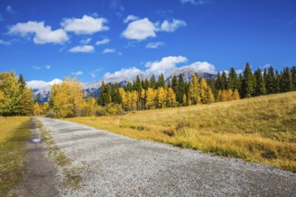 The concept of recreational tourism. Bright shining autumn day in Canmore, near Banff National Park
