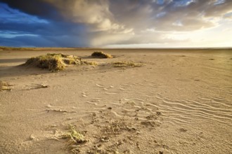 Sand beach by North sea in Netherlands before sunset