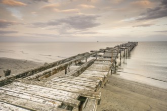 Costanera, Punta Arenas -Sandy Point-, Patagonia, Republic of Chile, South America