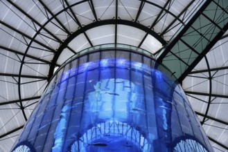 Aquarium inside Radisson Hotel Sea Life in Berlin