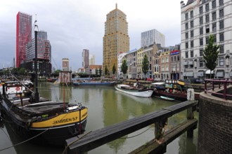 Boats in the harbour, Wijnhaven, behind them office buildings in the city centre of Rotterdam,