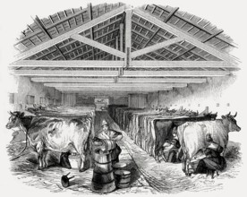 Old English cowshed, 19th century