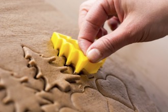Preparing easter gingerbread cookies. Steps of making pastry